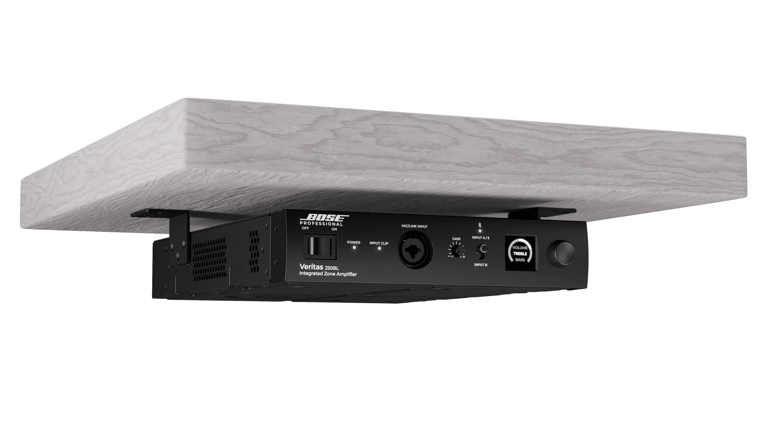 Bose Veritas 250BL 多功能商業功率放大器6